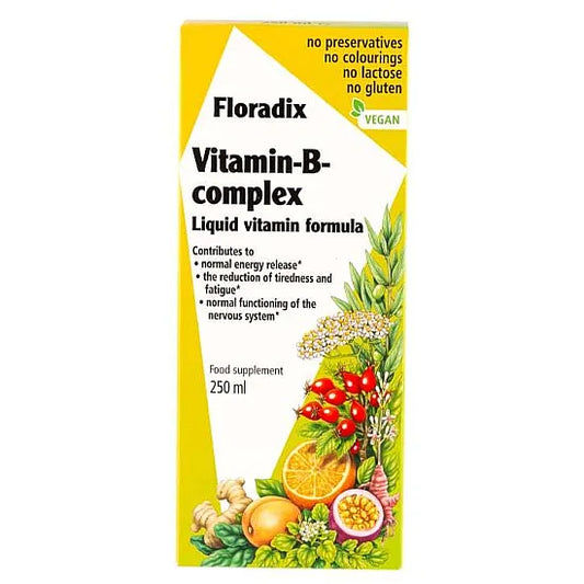 Floradix Vitamin B Complex Liquid - 250ml